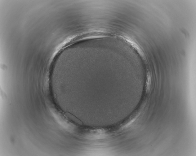 X0000091330492200708101428