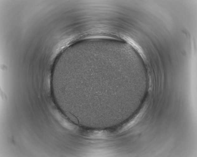 X0000091330493200708101428