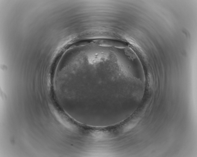 X0000091330494200708101428