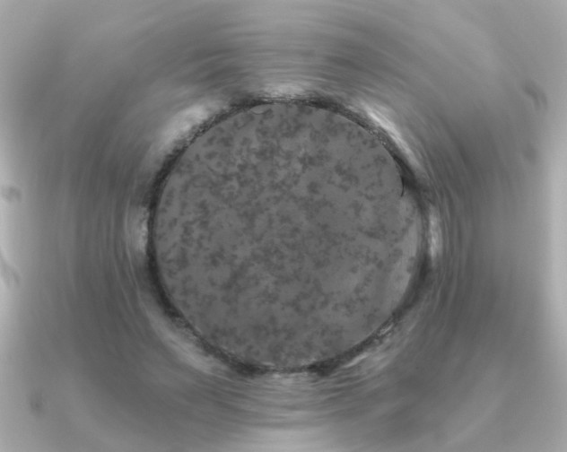 X0000091330495200708101428