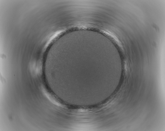 X0000091330496200708101428
