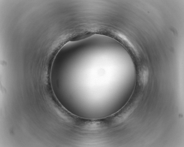 X0000091330497200708101428