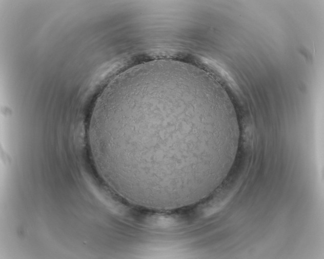 X0000091330498200708101428