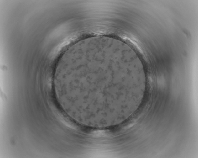 X0000091330499200708101428
