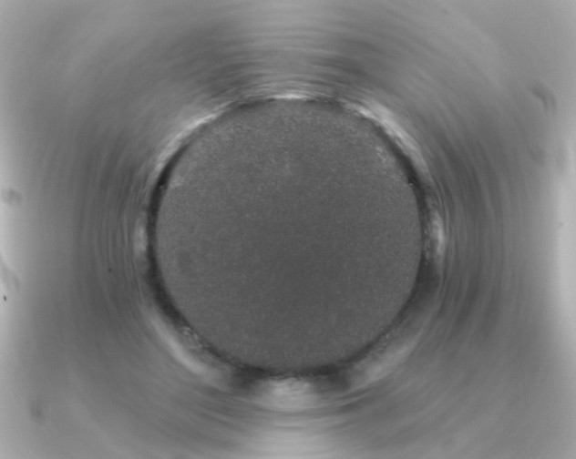 X0000091330500200708101428