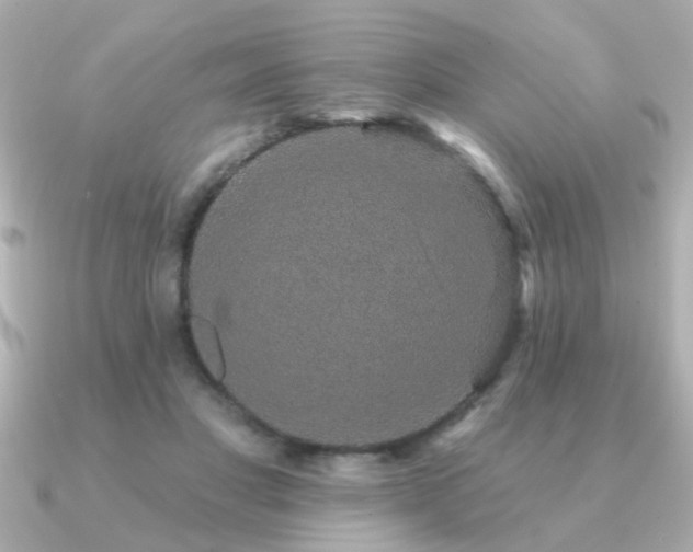 X0000091330501200708101428