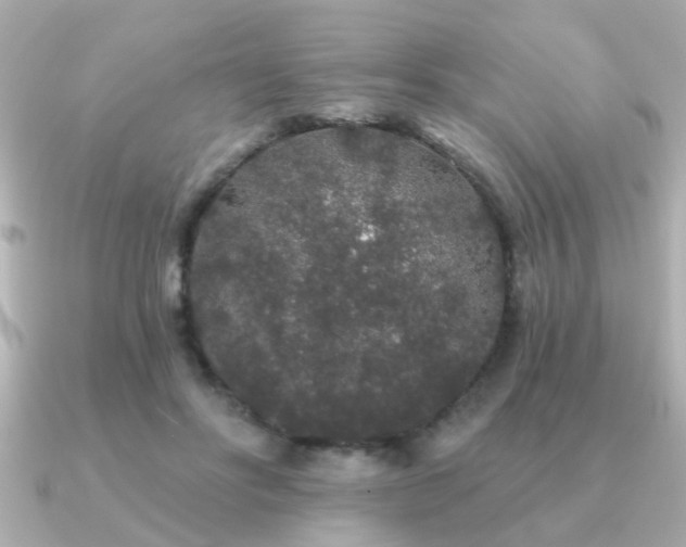 X0000091330502200708101428