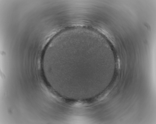 X0000091330504200708101428