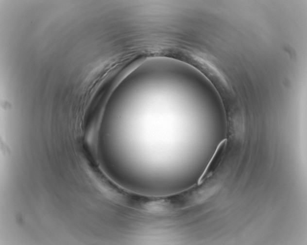 X0000091330505200708101428