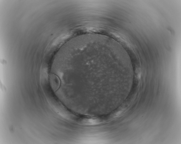 X0000091330506200708101428