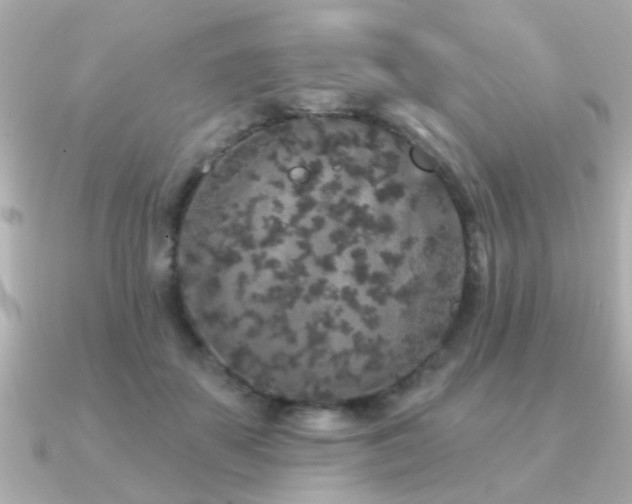 X0000091330507200708101428