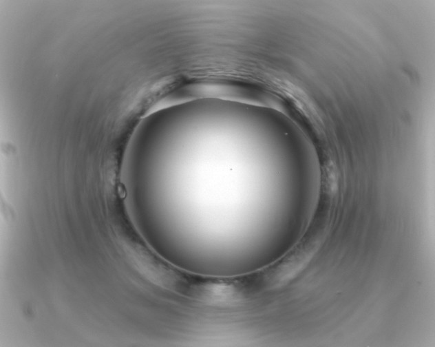 X0000091330509200708101428