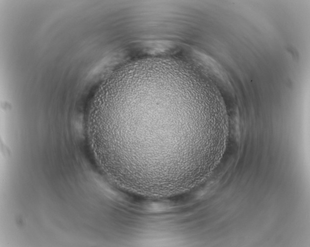 X0000091330510200708101428