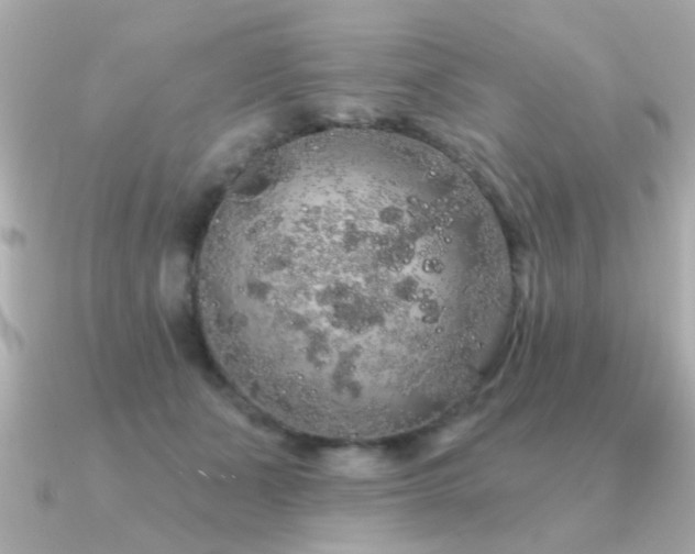 X0000091330511200708101428