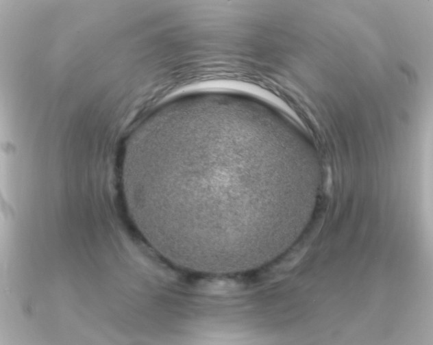 X0000091330512200708101428