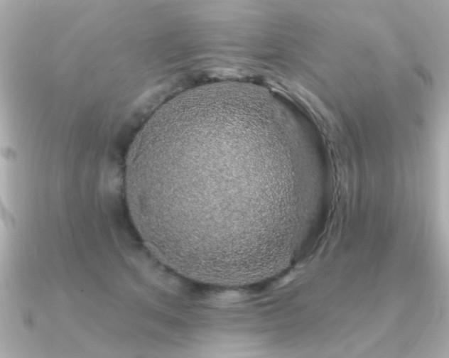 X0000091330513200708101428