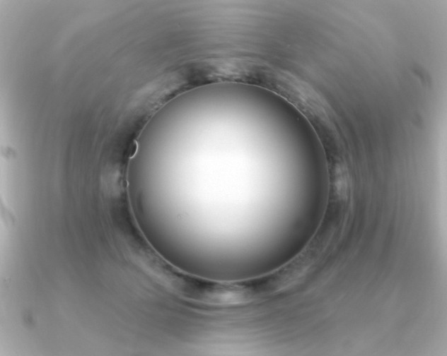 X0000091330514200708101428