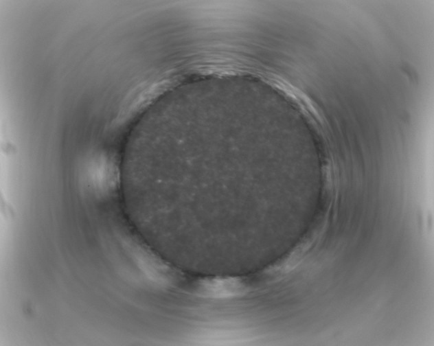 X0000091330517200708101428