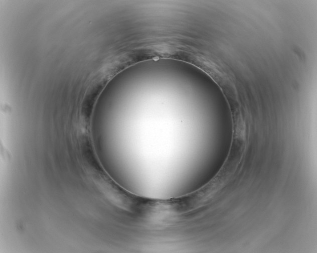 X0000091330518200708101428