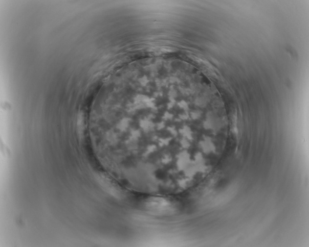 X0000091330519200708101428