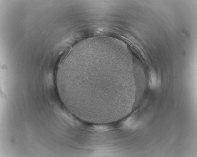 X0000091330520200708101428