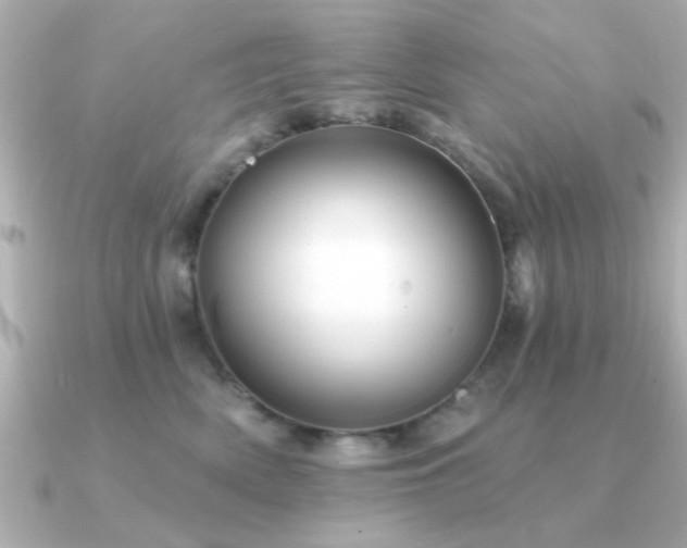 X0000091330522200708101428
