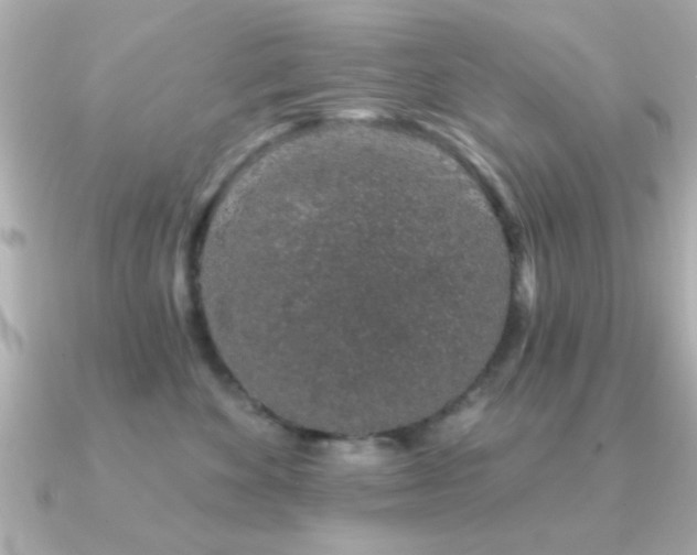 X0000091330524200708101428