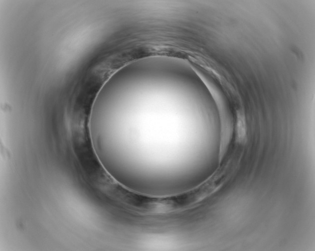 X0000091330525200708101428