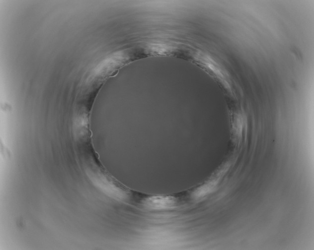 X0000091330526200708101428