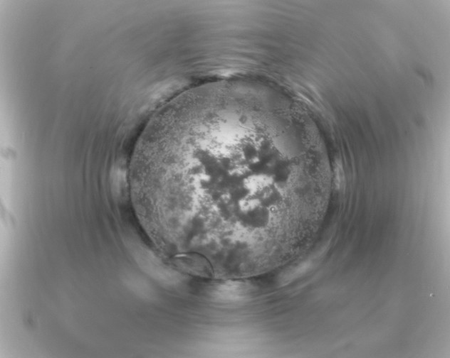 X0000091330527200708101428