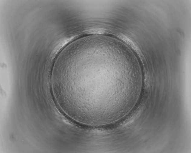 X0000091330529200708101427