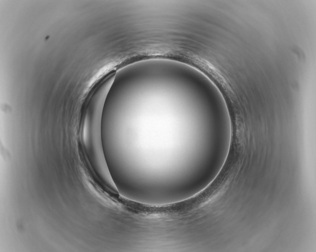 X0000091330530200708101427