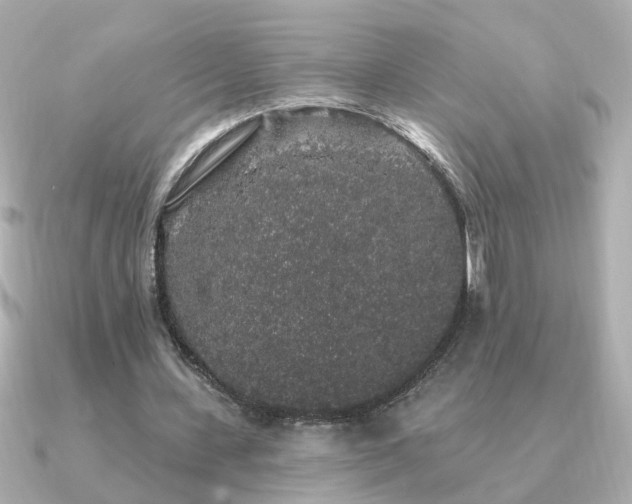 X0000091330531200708101427