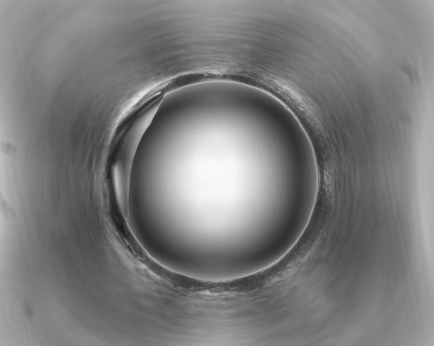 X0000091330532200708101427
