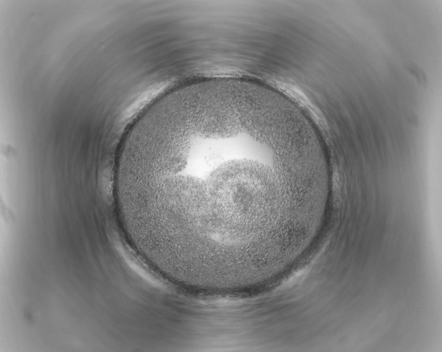 X0000091330533200708101427