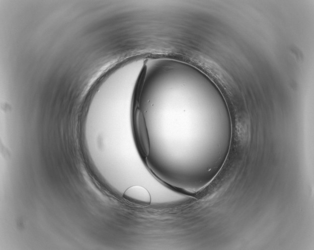 X0000091330534200708101427
