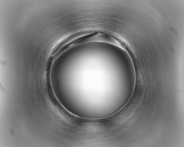 X0000091330535200708101427