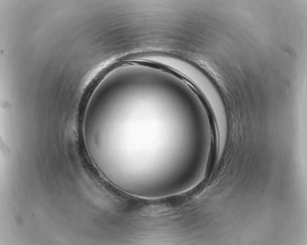 X0000091330536200708101427
