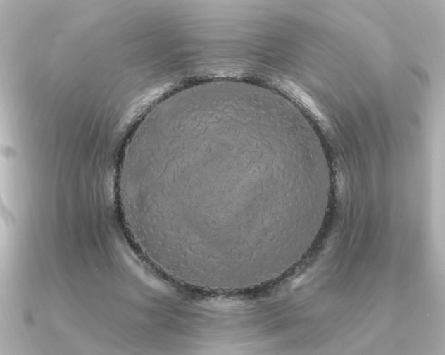 X0000091330537200708101427