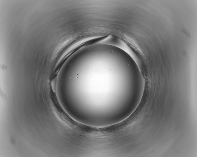 X0000091330538200708101427