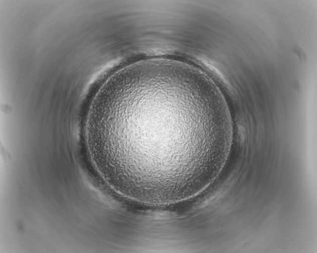 X0000091330539200708101427