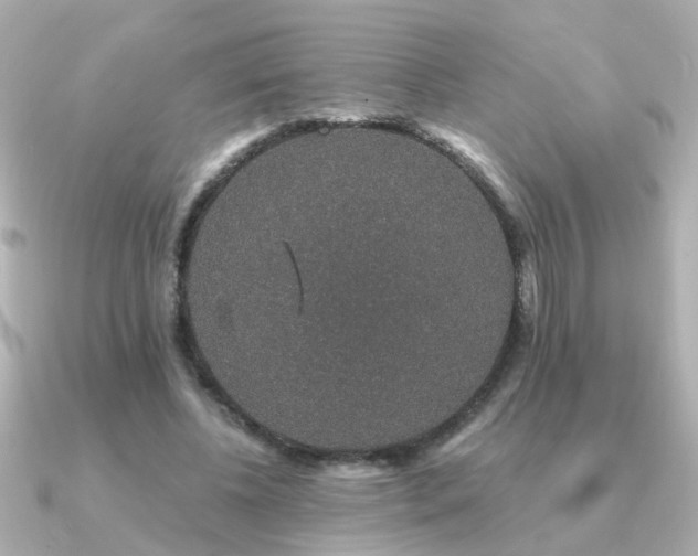 X0000091330540200708101427