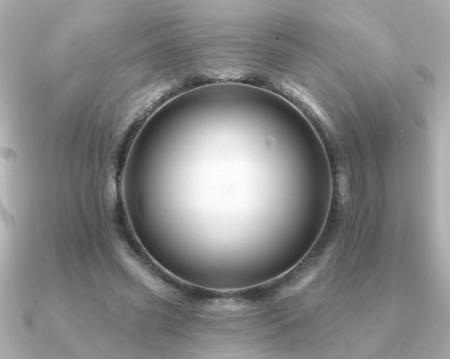 X0000091330541200708101427