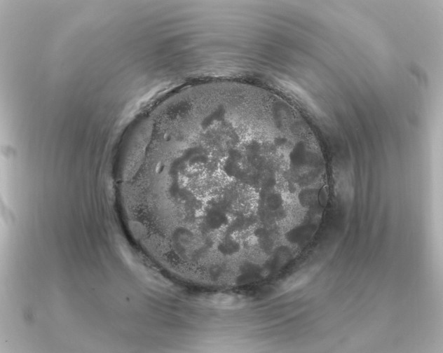 X0000091330542200708101427