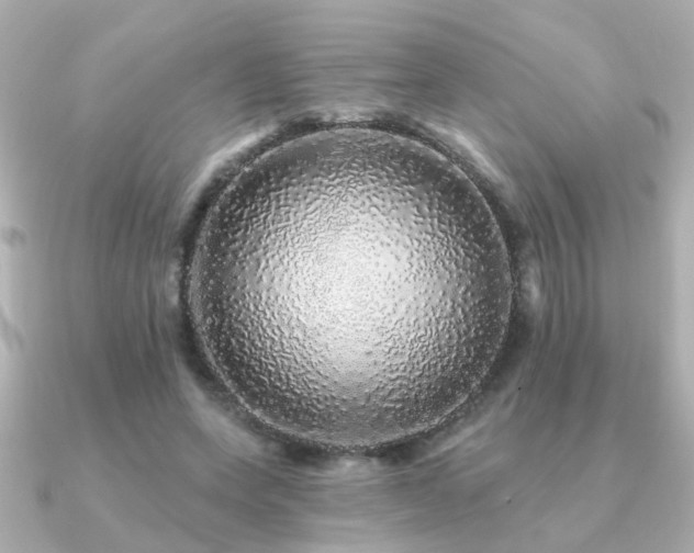 X0000091330543200708101427