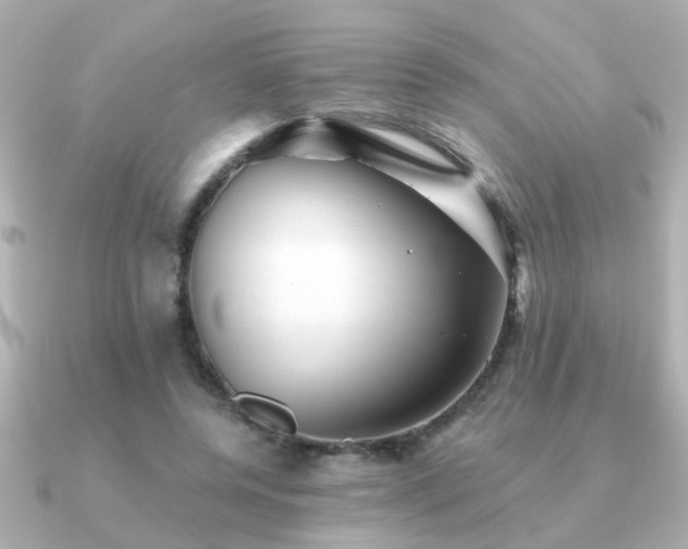 X0000091330544200708101427