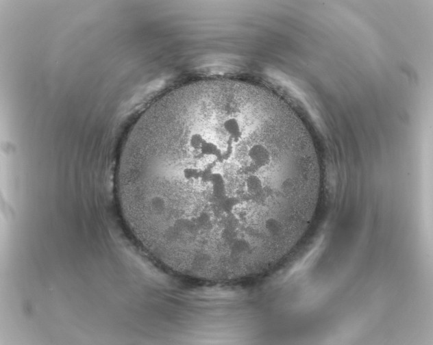 X0000091330545200708101427