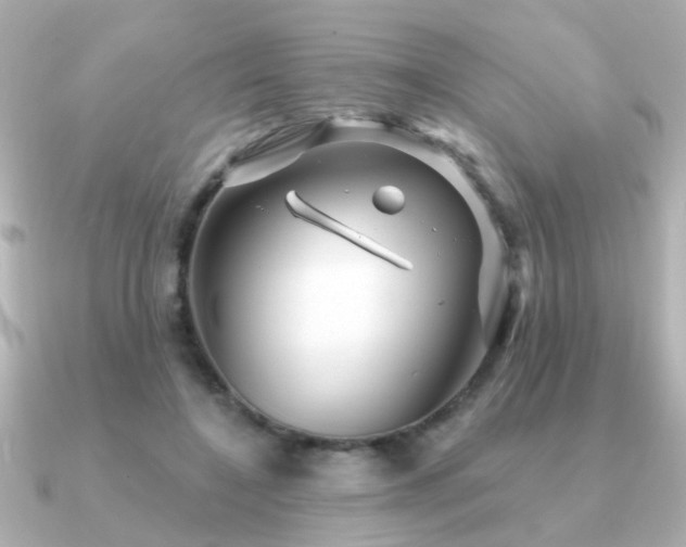 X0000091330548200708101427
