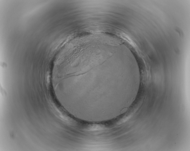 X0000091330549200708101428