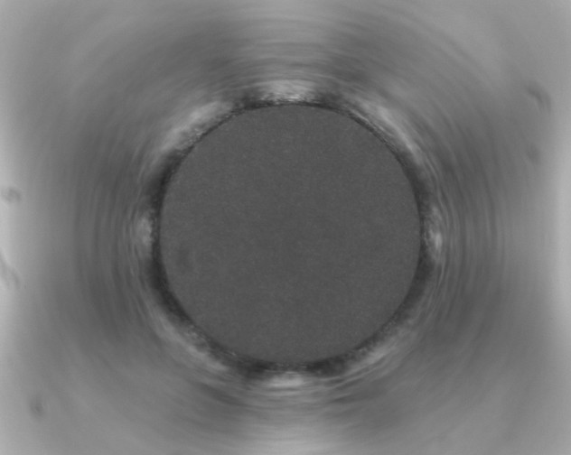 X0000091330551200708101428